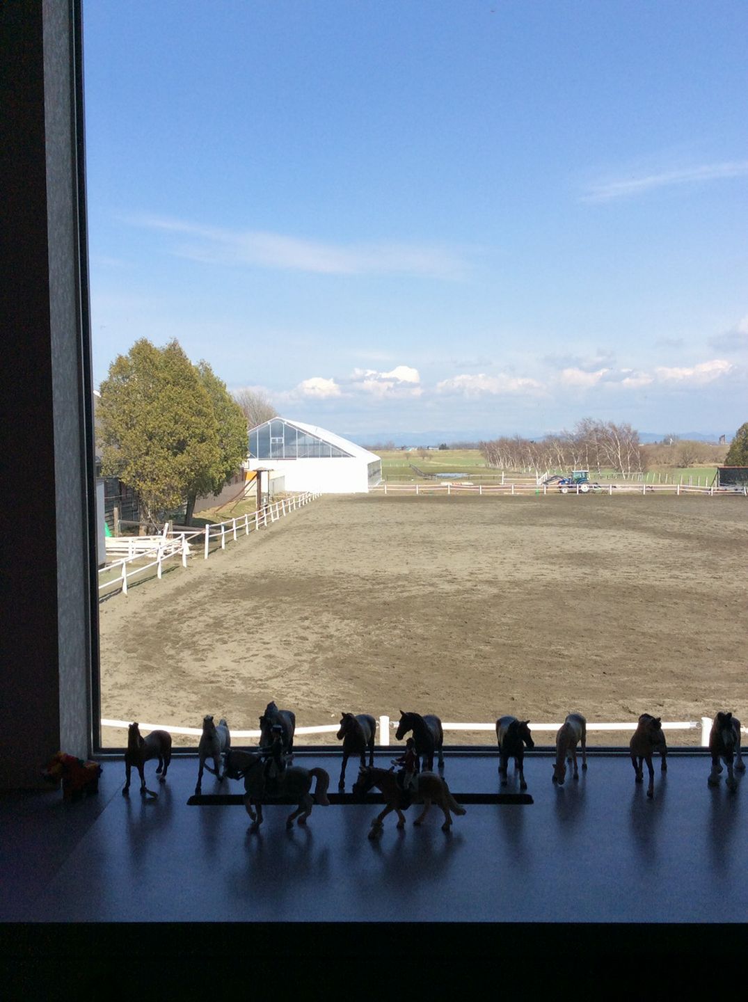 北広島乗馬クラブギャラリー画像