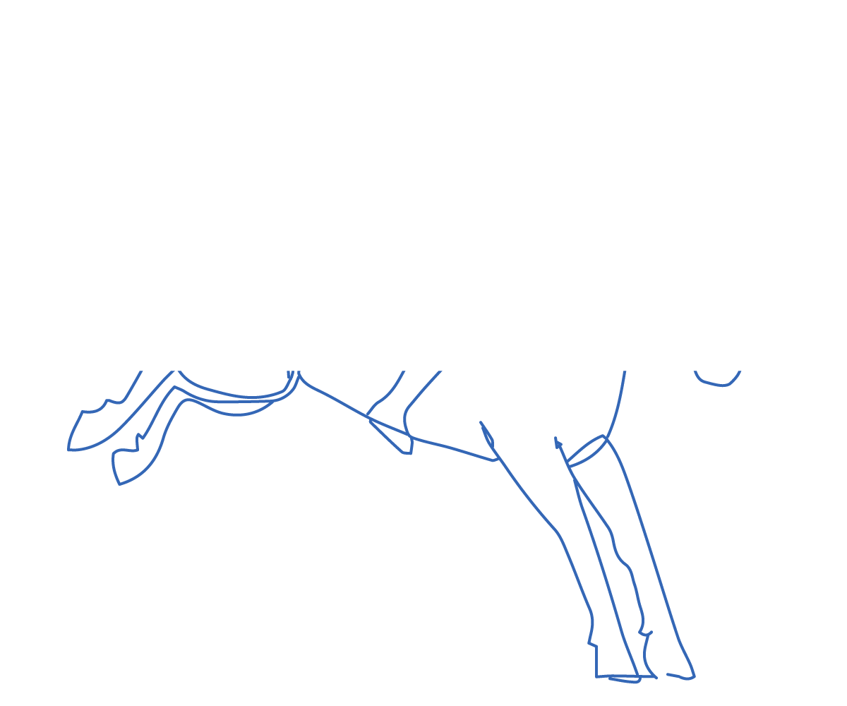 北広島乗馬クラブ